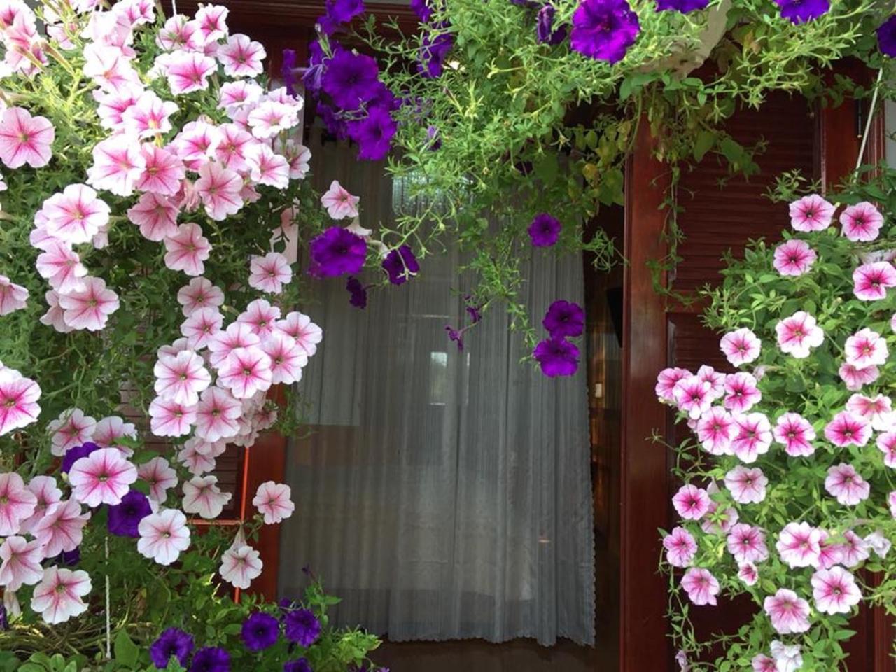 Khamy Riverside Villa هوي ان المظهر الخارجي الصورة