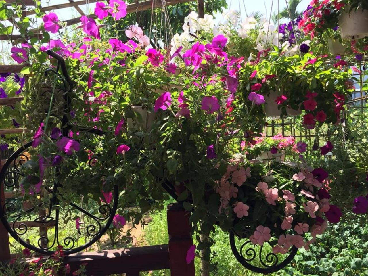 Khamy Riverside Villa هوي ان المظهر الخارجي الصورة